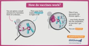 Blog how-vaccines-work