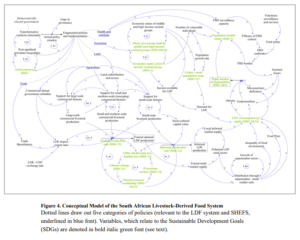 Blog evolution of supply chains: Image shows a system dynamics model of the supply chains of the meat industry in South Africa