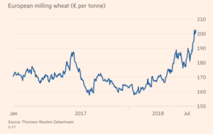 Blog wheat prices: Image of price chat for European milling wheat, from Jan 2017 to Aug 2018